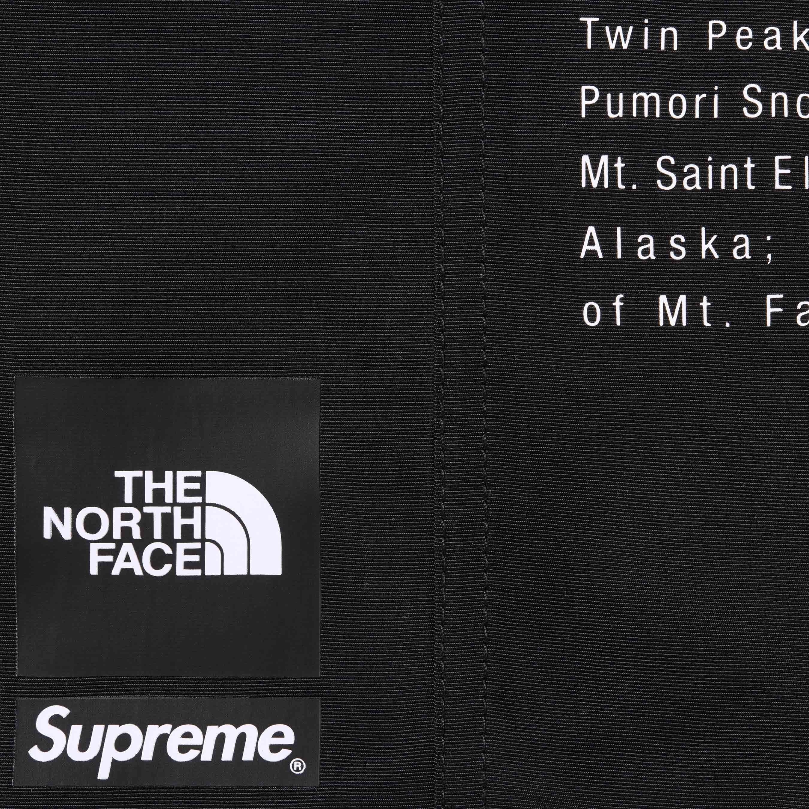 Supreme®/The North Face® Nylon Short view 3